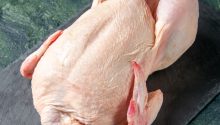 front-view-fresh-raw-chicken-gray-meal-animal-meat-photo-kitchen-food-chicken-color